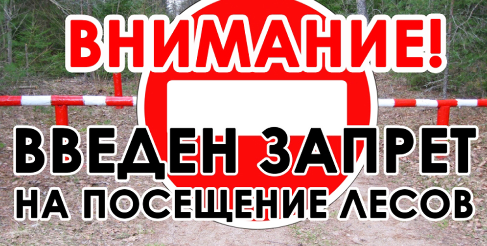 С 23 августа вводится запрет на посещение лесного фонда Ушачского района