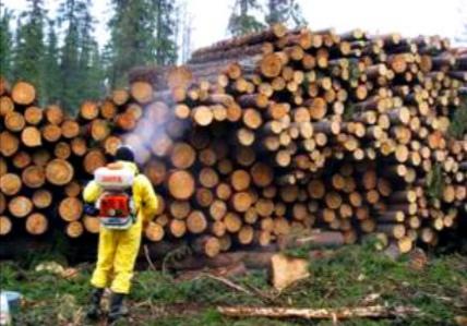 Защита древесины - важное дело
