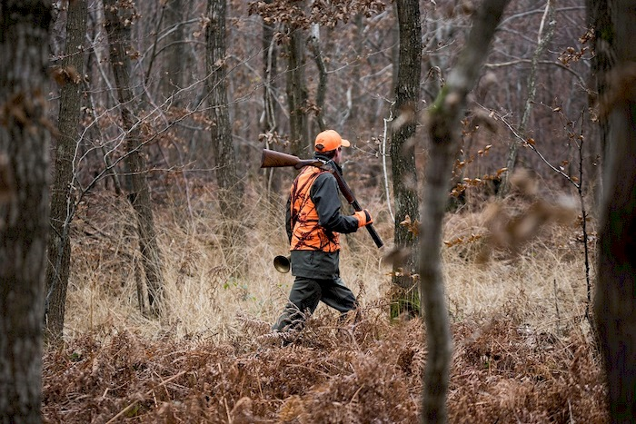 В Беларуси 1 октября открывается сезон загонной охоты на копытных